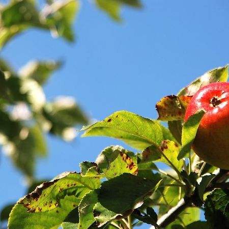 Cradog Farmhouse B&B Urlingford Esterno foto
