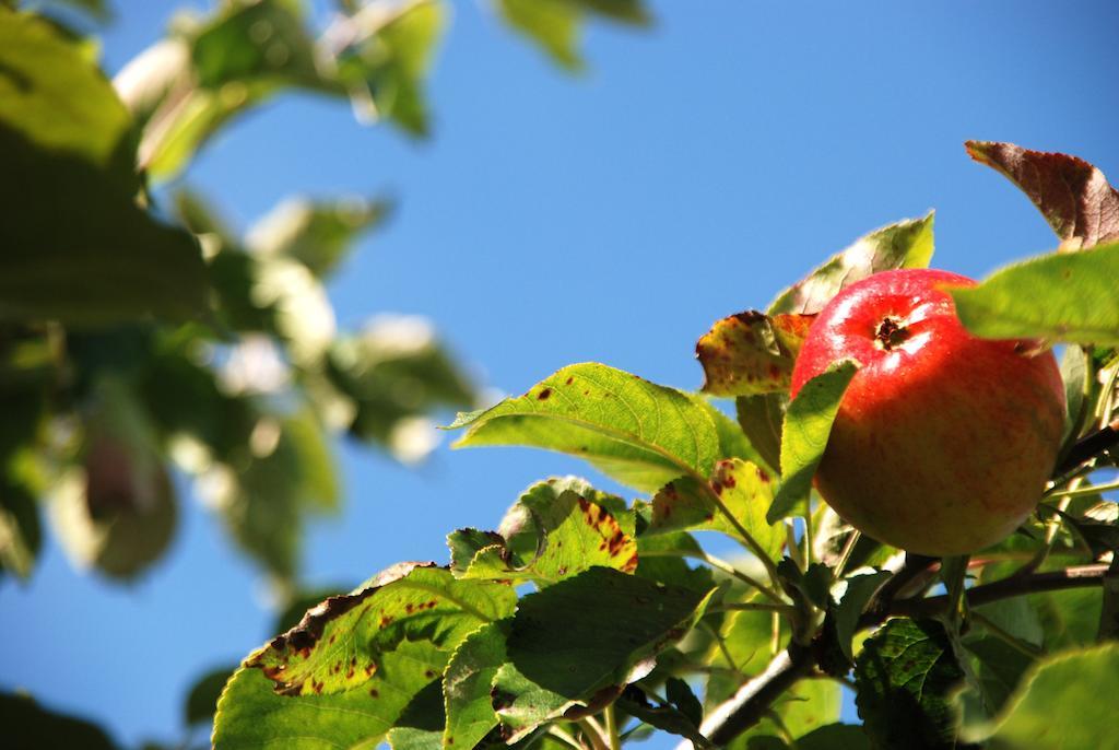 Cradog Farmhouse B&B Urlingford Esterno foto
